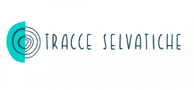 Giulia Garsia - Tracce Selvatiche - Loro rettangolare